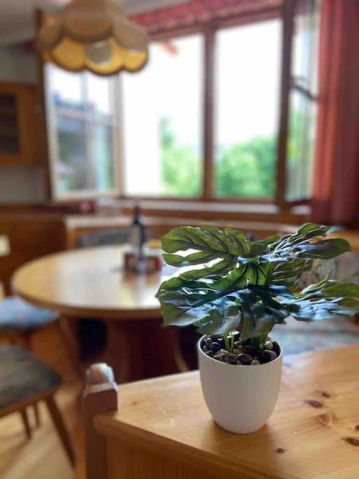 Zentrale Wohnung Gmunden Alte Baeckerei Bagian luar foto